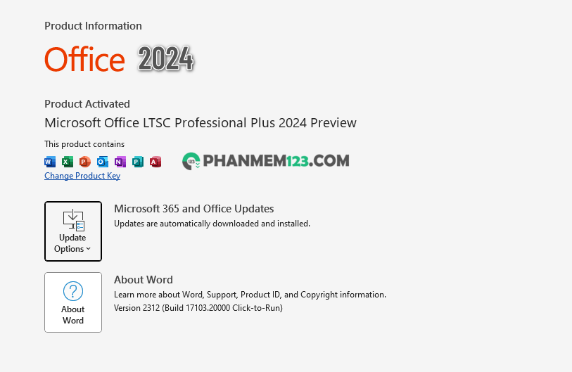 Download Office 2024 Professional Plus Preview Full + Hướng dẫn cài đặt chi tiết